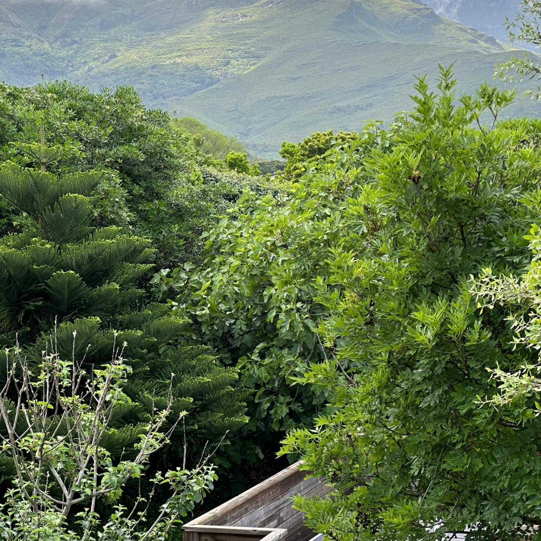 Le Relais De Sisco Daire Dış mekan fotoğraf